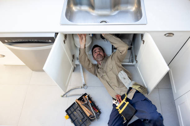 Best Plumbing Inspection Services  in Chleston, AR