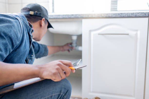 Best Local Plumber Services  in Chleston, AR